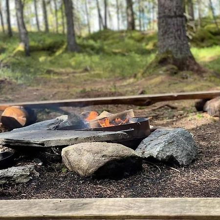Treetop Ekne - Hytte I Skogen Med Hengebru Hotel Levanger Luaran gambar