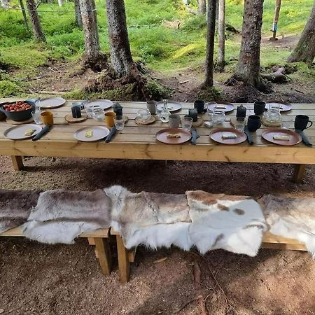 Treetop Ekne - Hytte I Skogen Med Hengebru Hotel Levanger Luaran gambar