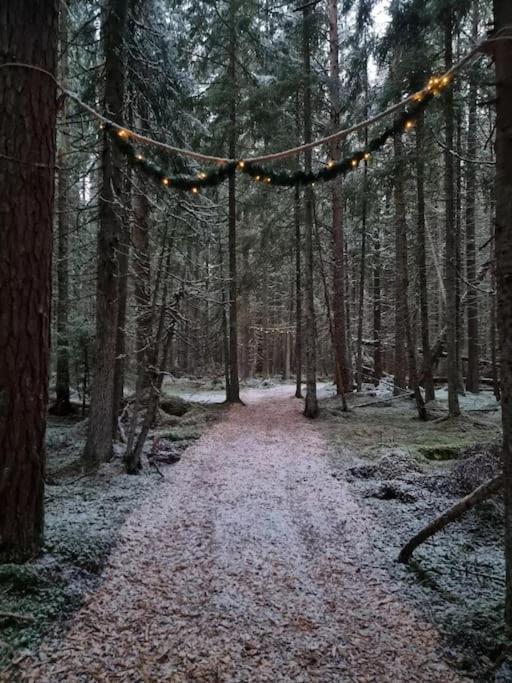 Treetop Ekne - Hytte I Skogen Med Hengebru Hotel Levanger Luaran gambar