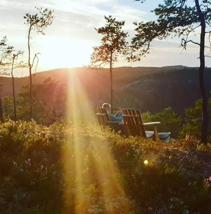 Treetop Ekne - Hytte I Skogen Med Hengebru Hotel Levanger Luaran gambar