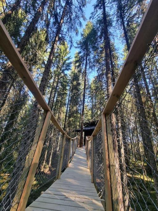Treetop Ekne - Hytte I Skogen Med Hengebru Hotel Levanger Luaran gambar